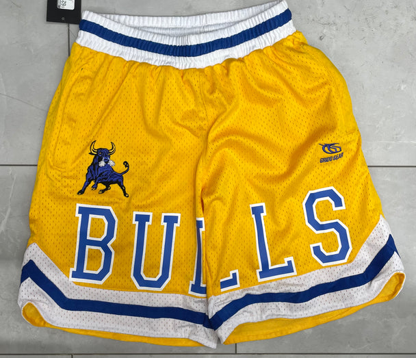 High School Team Shorts- Mesh